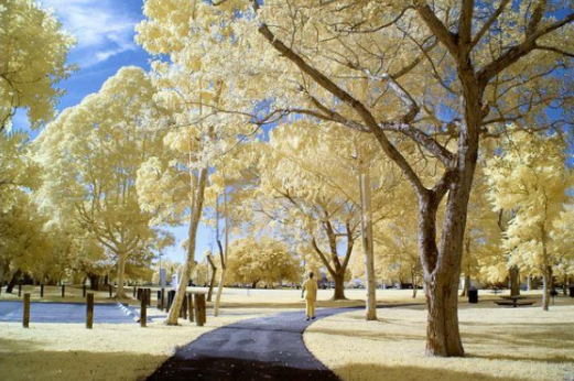 什么！？光说找对象？的图2